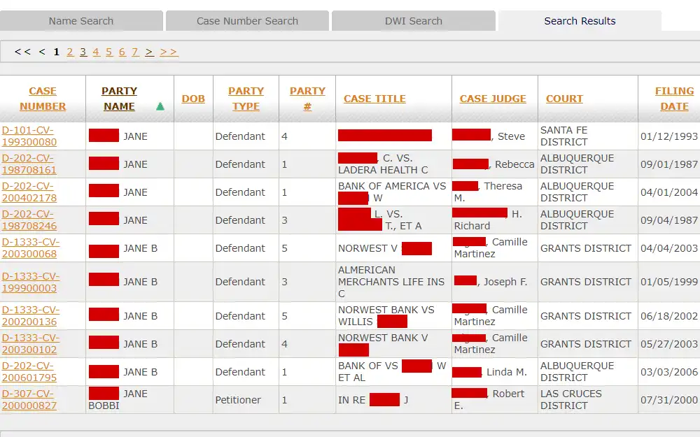 Screenshot of case search results showing the case number, party name, type, and number, case title, case judge, court, and filing date.